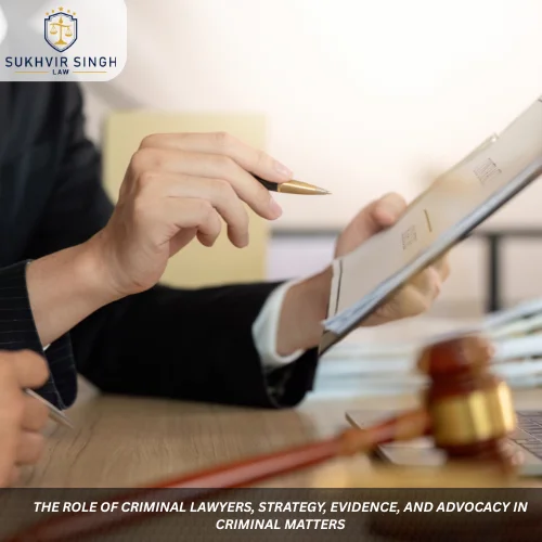 The Role of Criminal Lawyers, Strategy, Evidence, and Advocacy in Criminal Matters